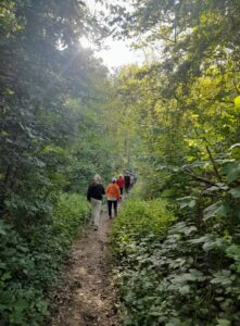 trening nordic walking
