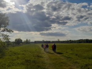 trening nordic walking