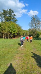 trening nordic walking