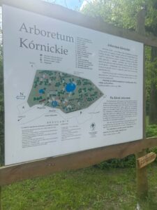 zdjęcie planu arboretum